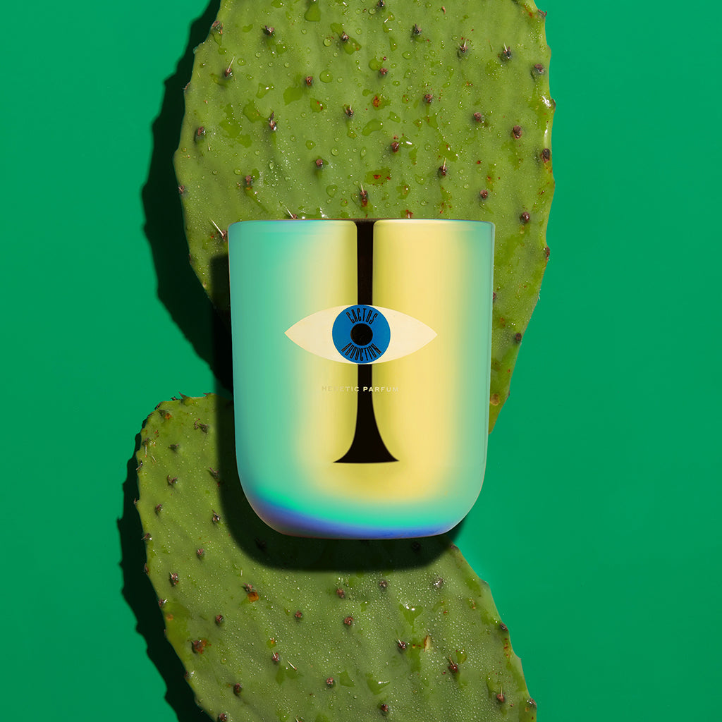 Cactus Abduction with a cactus
