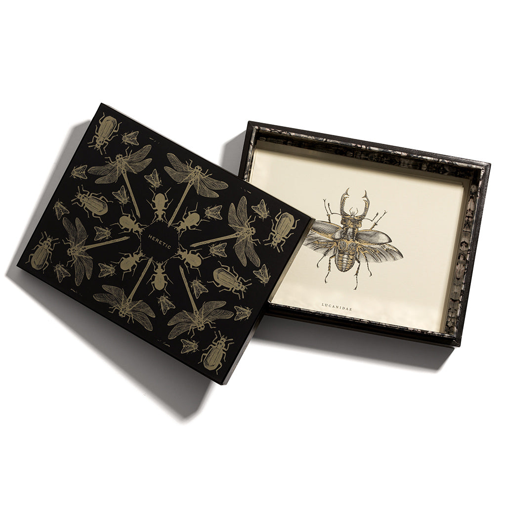 Entomologist Stationary Set