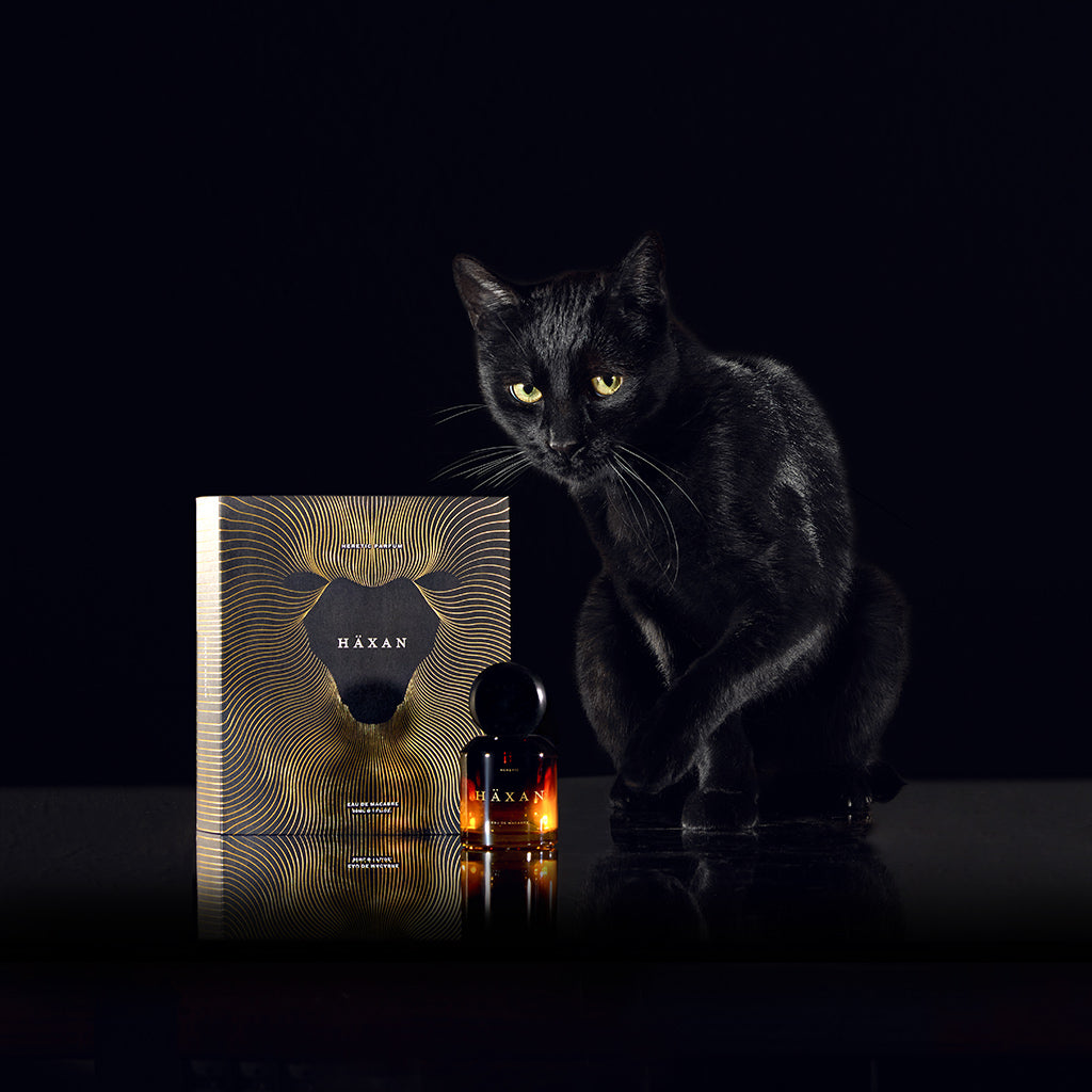 Black cat sitting next to a bottle and packaging of Haxan on a black background